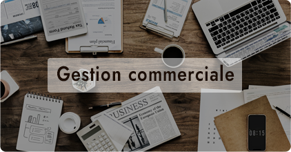 gestion_commerciale_presentation